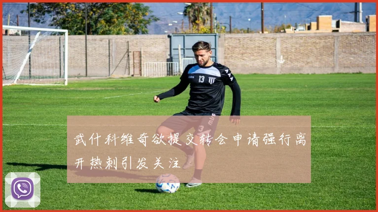 武什科维奇欲提交转会申请强行离开热刺引发关注